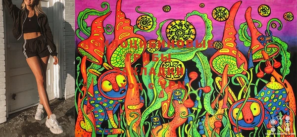 стафф Абаза